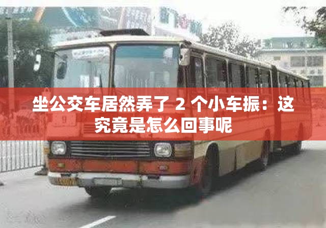 坐公交车居然弄了 2 个小车振：这究竟是怎么回事呢