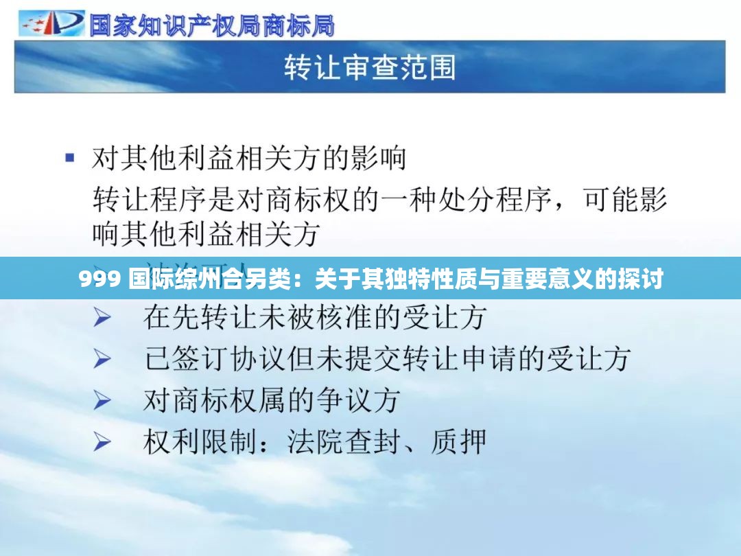 999 国际综州合另类：关于其独特性质与重要意义的探讨