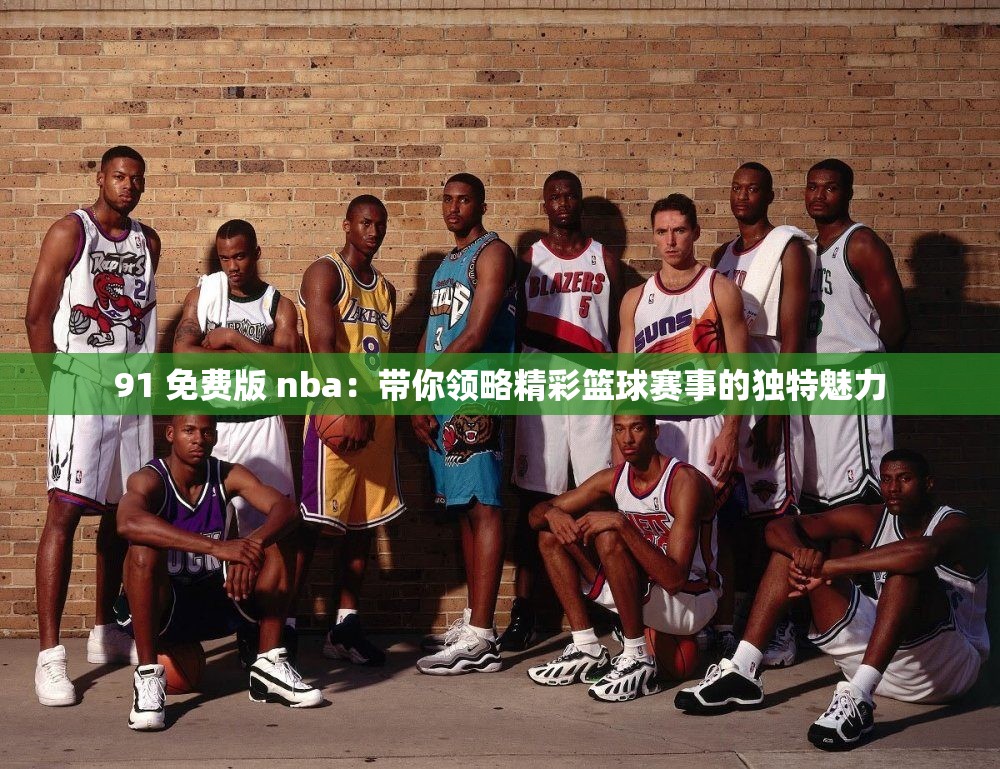 91 免费版 nba：带你领略精彩篮球赛事的独特魅力