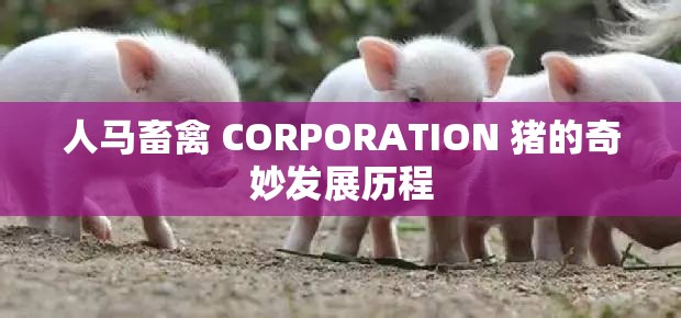 人马畜禽 CORPORATION 猪的奇妙发展历程