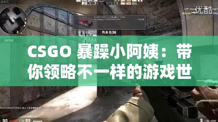 CSGO 暴躁小阿姨：带你领略不一样的游戏世界