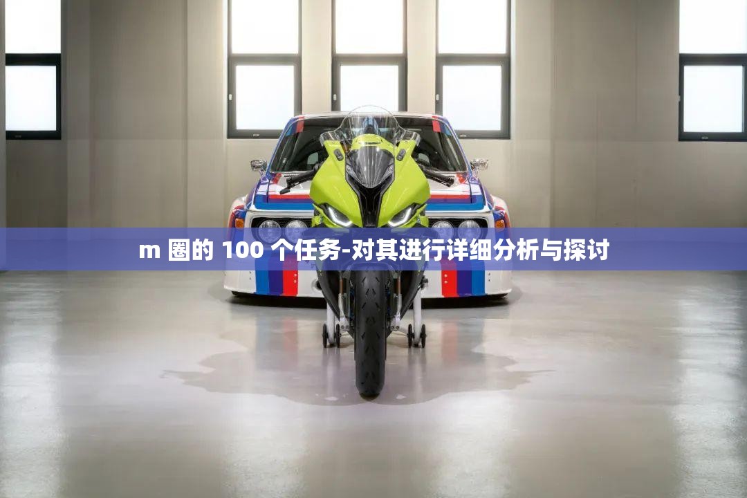 m 圈的 100 个任务-对其进行详细分析与探讨