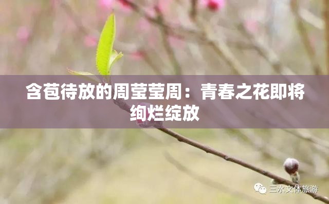 含苞待放的周莹莹周：青春之花即将绚烂绽放