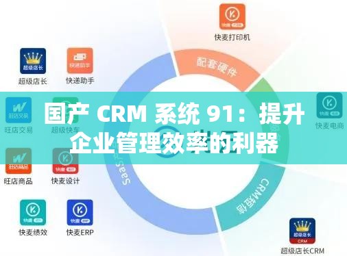 国产 CRM 系统 91：提升企业管理效率的利器