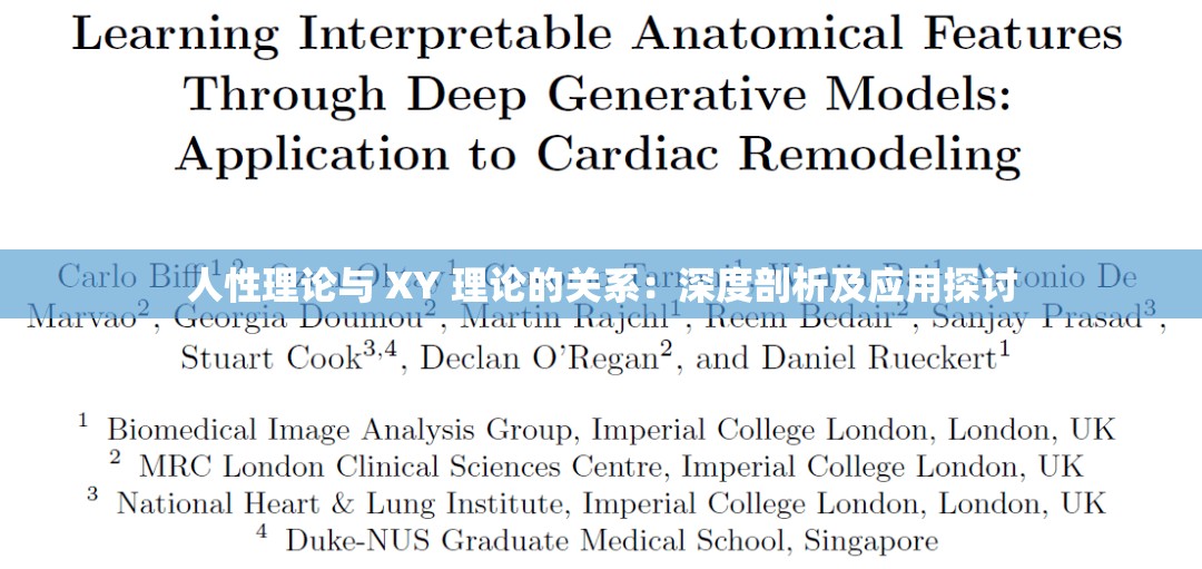 人性理论与 XY 理论的关系：深度剖析及应用探讨