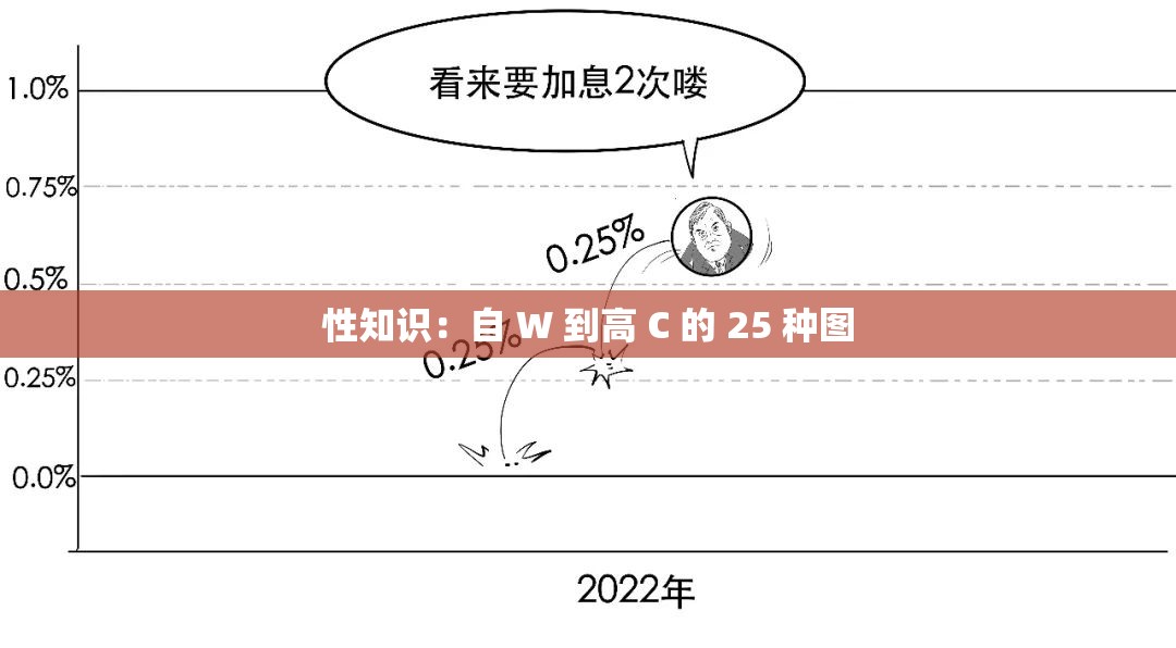 性知识：自 W 到高 C 的 25 种图