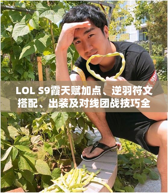 LOL S9霞天赋加点、逆羽符文搭配、出装及对线团战技巧全攻略