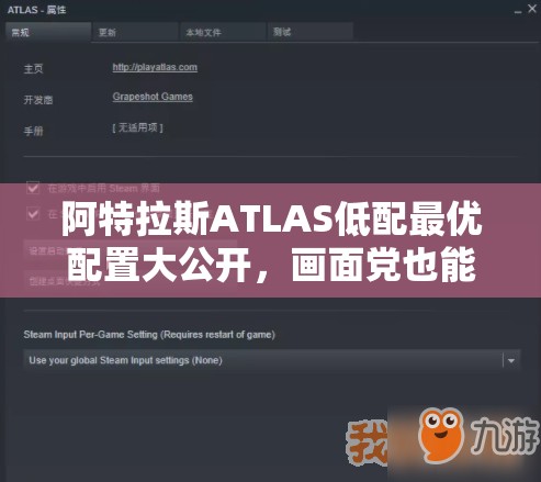阿特拉斯ATLAS低配最优配置大公开，画面党也能享受丝滑流畅游戏体验