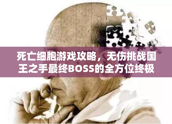 死亡细胞游戏攻略，无伤挑战国王之手最终BOSS的全方位终极秘籍