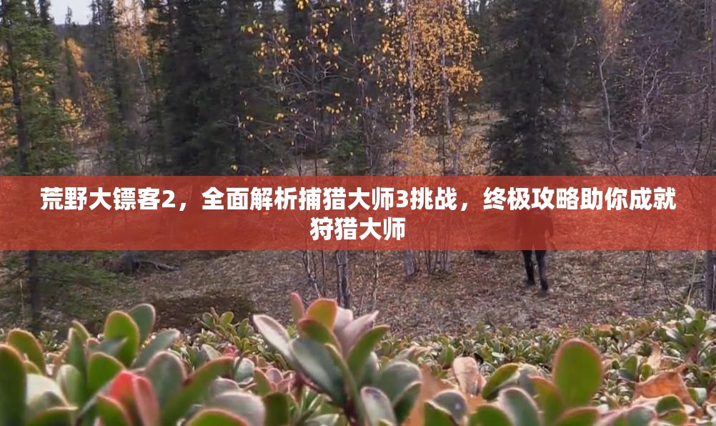 荒野大镖客2，全面解析捕猎大师3挑战，终极攻略助你成就狩猎大师