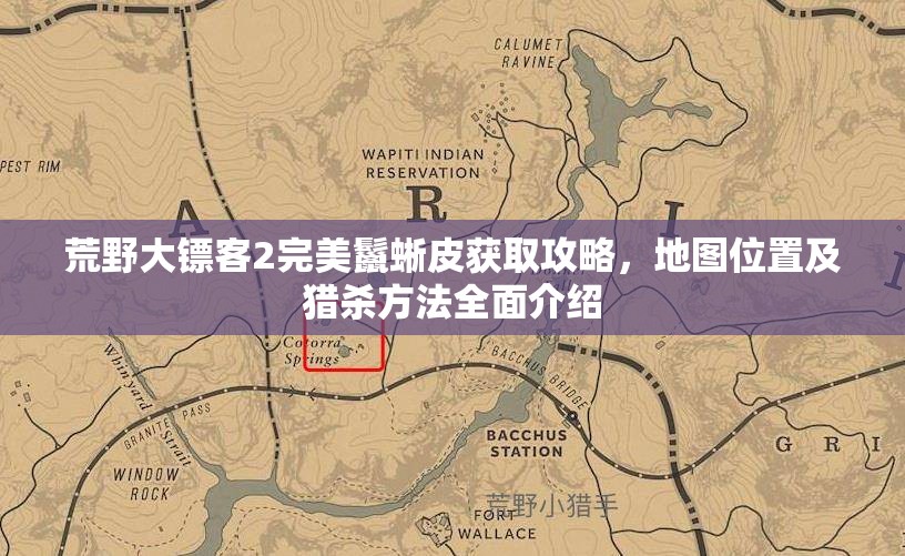 荒野大镖客2完美鬣蜥皮获取攻略，地图位置及猎杀方法全面介绍