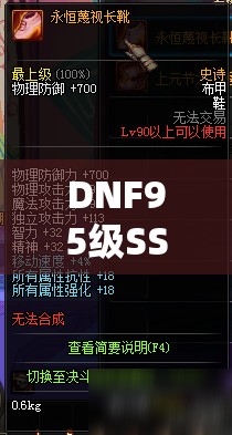 DNF95级SS防具全解析，新版本史诗装备属性一览与资源管理优化策略