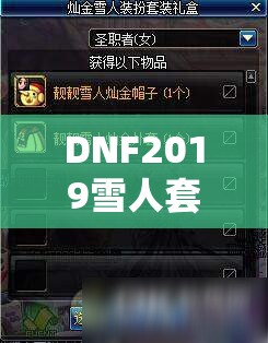 DNF2019雪人套全面介绍，三款雪人套外观搭配与属性加成深度解析