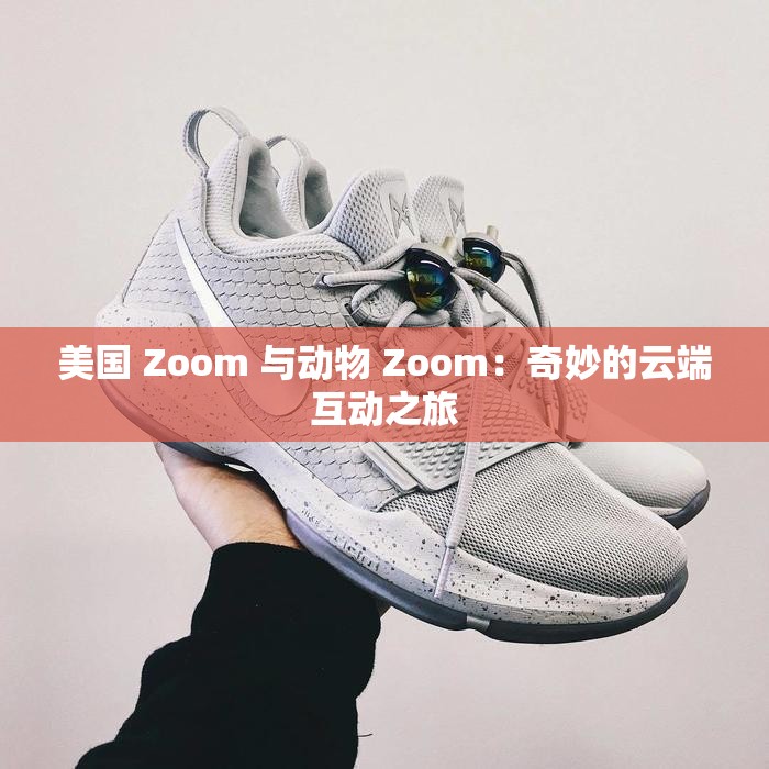 美国 Zoom 与动物 Zoom：奇妙的云端互动之旅