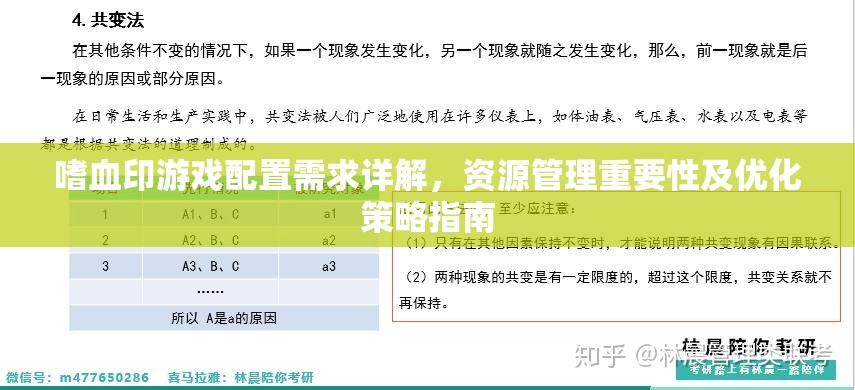 嗜血印游戏配置需求详解，资源管理重要性及优化策略指南