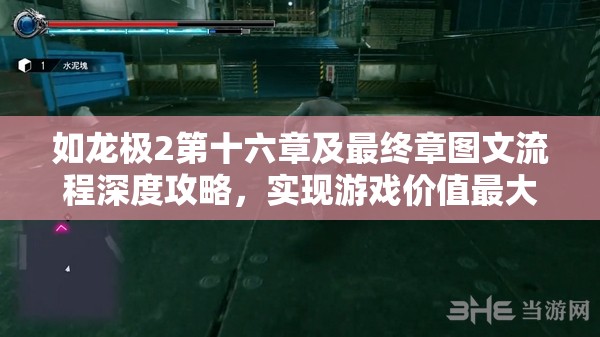 如龙极2第十六章及最终章图文流程深度攻略，实现游戏价值最大化解析