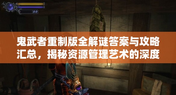 鬼武者重制版全解谜答案与攻略汇总，揭秘资源管理艺术的深度解析