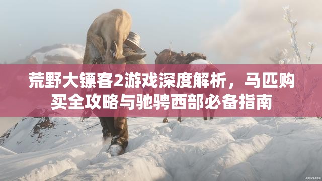 荒野大镖客2游戏深度解析，马匹购买全攻略与驰骋西部必备指南