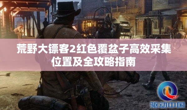 荒野大镖客2红色覆盆子高效采集位置及全攻略指南