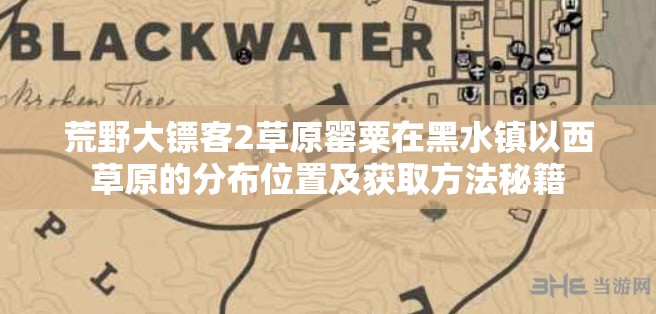 荒野大镖客2草原罂粟在黑水镇以西草原的分布位置及获取方法秘籍