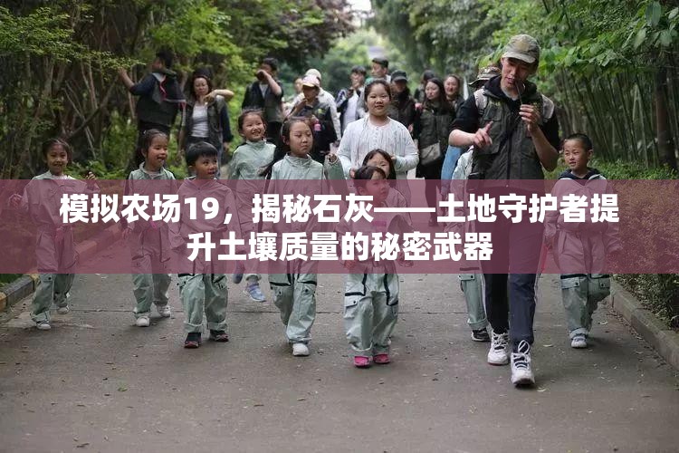 模拟农场19，揭秘石灰——土地守护者提升土壤质量的秘密武器