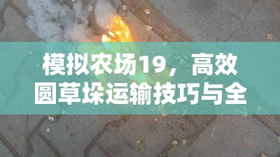 模拟农场19，高效圆草垛运输技巧与全面资源管理优化策略