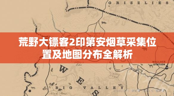 荒野大镖客2印第安烟草采集位置及地图分布全解析