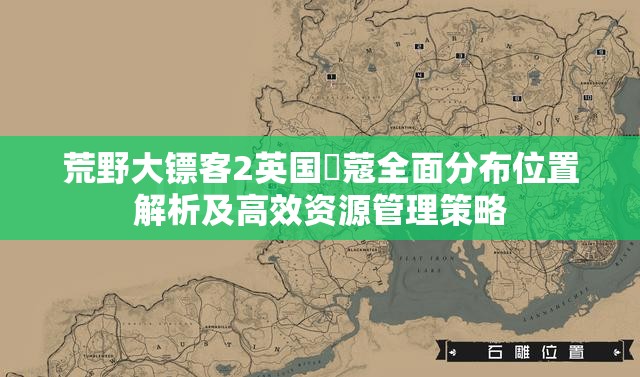 荒野大镖客2英国荳蔻全面分布位置解析及高效资源管理策略