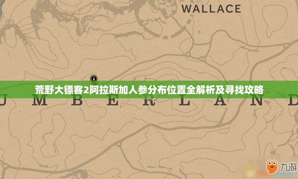 荒野大镖客2阿拉斯加人参分布位置全解析及寻找攻略