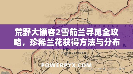 荒野大镖客2雪茄兰寻觅全攻略，珍稀兰花获得方法与分布位置深度揭秘