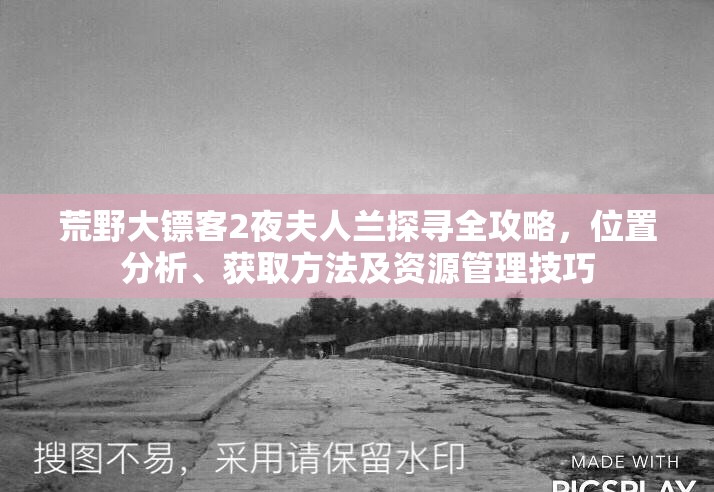 荒野大镖客2夜夫人兰探寻全攻略，位置分析、获取方法及资源管理技巧