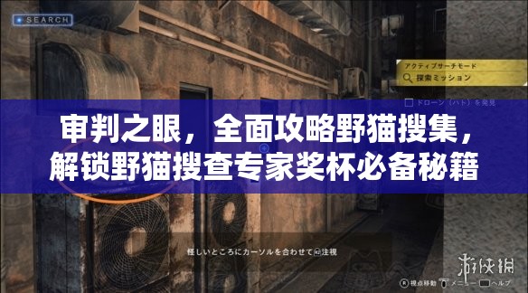 审判之眼，全面攻略野猫搜集，解锁野猫搜查专家奖杯必备秘籍