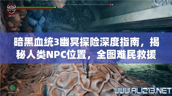 暗黑血统3幽冥探险深度指南，揭秘人类NPC位置，全图难民救援攻略