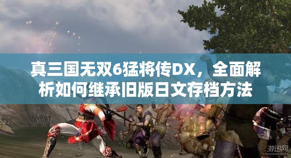 真三国无双6猛将传DX，全面解析如何继承旧版日文存档方法