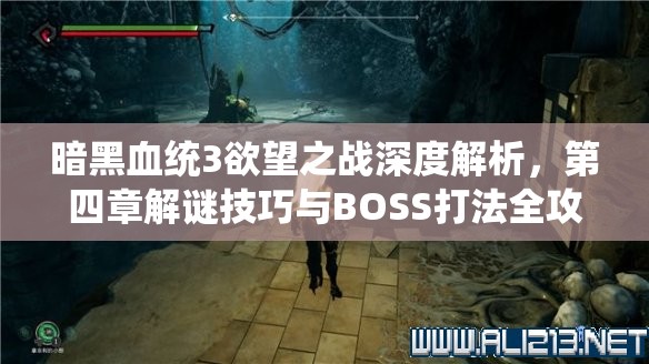 暗黑血统3欲望之战深度解析，第四章解谜技巧与BOSS打法全攻略