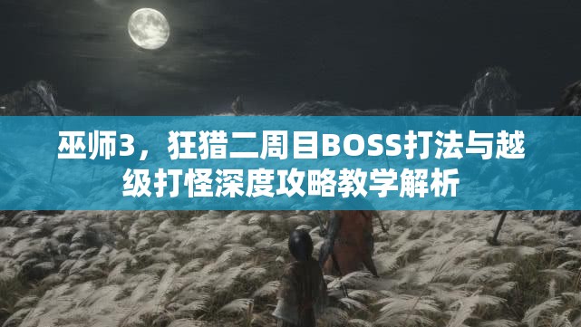 巫师3，狂猎二周目BOSS打法与越级打怪深度攻略教学解析