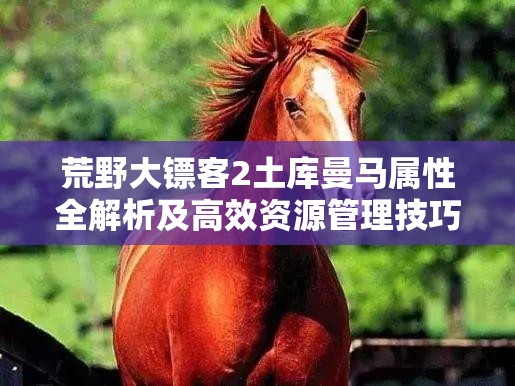 荒野大镖客2土库曼马属性全解析及高效资源管理技巧分享