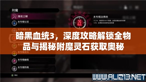 暗黑血统3，深度攻略解锁全物品与揭秘附魔灵石获取奥秘