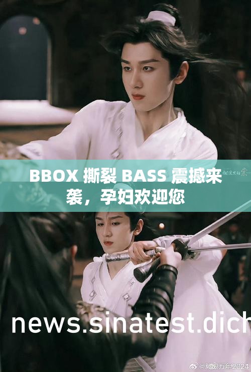 BBOX 撕裂 BASS 震撼来袭，孕妇欢迎您