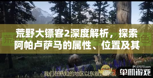 荒野大镖客2深度解析，探索阿帕卢萨马的属性、位置及其独特魅力
