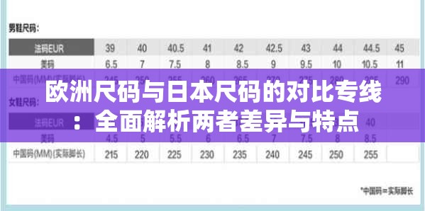 欧洲尺码与日本尺码的对比专线：全面解析两者差异与特点