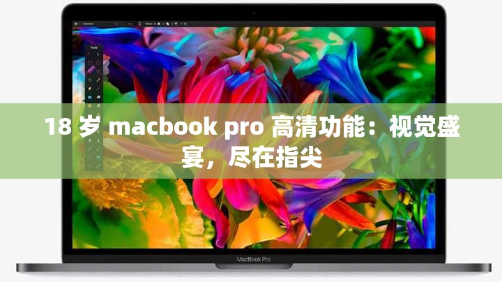 18 岁 macbook pro 高清功能：视觉盛宴，尽在指尖