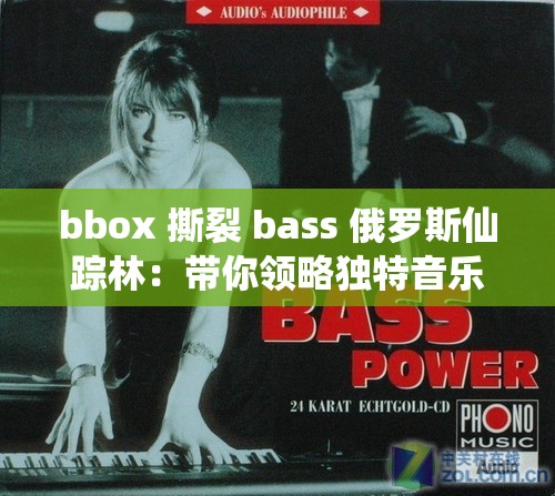 bbox 撕裂 bass 俄罗斯仙踪林：带你领略独特音乐魅力之旅