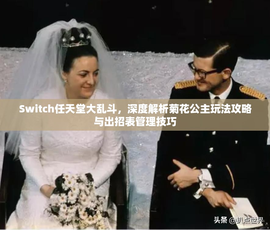 Switch任天堂大乱斗，深度解析菊花公主玩法攻略与出招表管理技巧