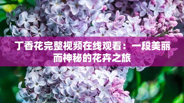 丁香花完整视频在线观看：一段美丽而神秘的花卉之旅