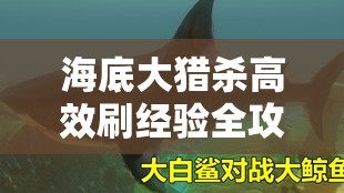 海底大猎杀高效刷经验全攻略，解锁成为海洋霸主的终极进阶之路