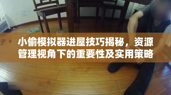 小偷模拟器进屋技巧揭秘，资源管理视角下的重要性及实用策略分享