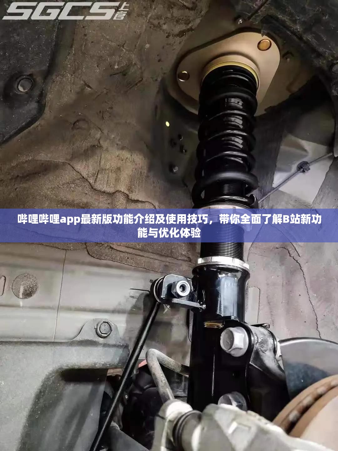 哔哩哔哩app最新版功能介绍及使用技巧，带你全面了解B站新功能与优化体验