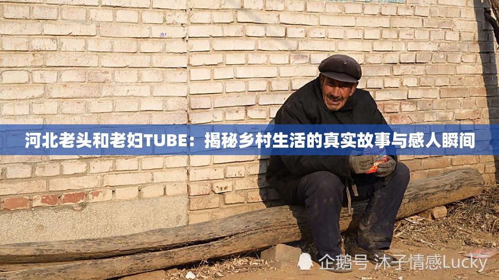 河北老头和老妇TUBE：揭秘乡村生活的真实故事与感人瞬间