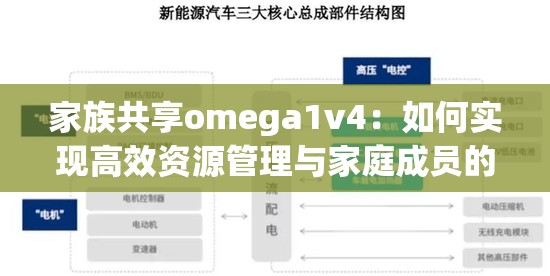 家族共享omega1v4：如何实现高效资源管理与家庭成员的协同合作？